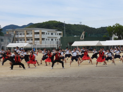 DSCN0206