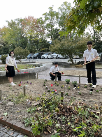 文化祭に向けて花の苗植え