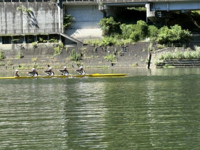 Image (2)