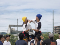 _9075976